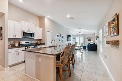 9415 Lemon Drop Loop, Sun City Center, FL 33573 - photo 2