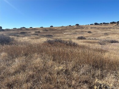 9375 Red Primrose St unit 37, Franktown, CO 80116 - photo 5