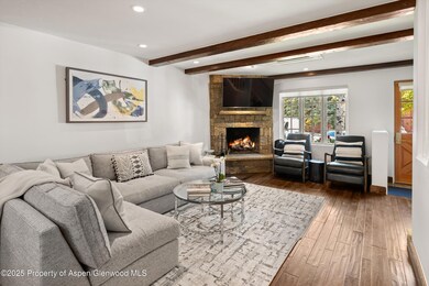 710 S Mill St unit 6 & 7, Aspen, CO 81611 - photo 5