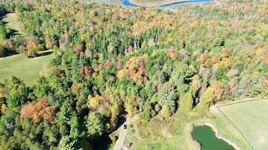 0 Pine Hill Rd unit 5065782, Newport, VT 05855 - photo 4