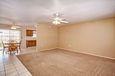 0008-White Moutain (4)