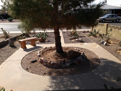 back yard