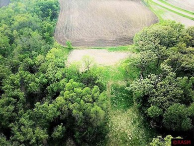 0 Xxx S Herbert St unit 7029338, Waterville, MN 56096 - photo 3