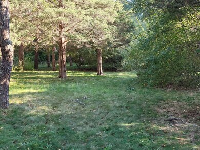 91 Carol Lane Includes 2 Adjacent Lots unit includes 2 adjacent, Oak Bluffs, MA 02557 - photo 5