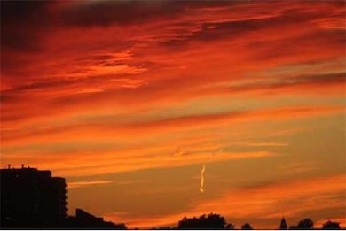 334 Tappan St unit 5, Brookline, MA 02445 - photo 7