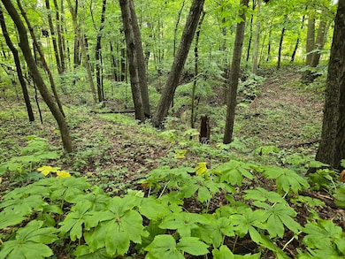 vl Lehring Rd, Durand, MI 48429 - photo 7