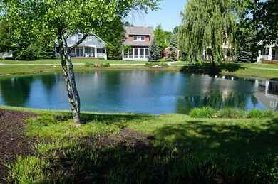 pond