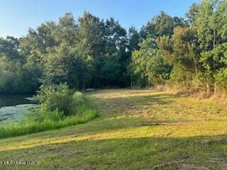 0 Red Oak Dr unit 4087759, Lucedale, MS 39452 - photo 4