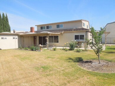 Large backyard with roses and fruit trees. Shed in background is perfect for the hobbyist or storage. Two covered patios.
