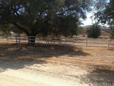 oak trees 