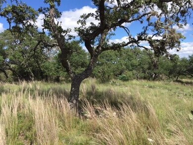 0 Nighthawk Trail, Fredericksburg, TX 78624 - photo 5