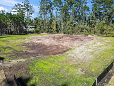 1030 Fowler Rd, Conway, SC 29526 - photo 2