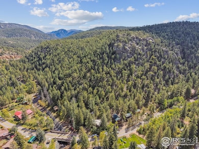 511 Riverside Dr, Lyons, CO 80540 - photo 4