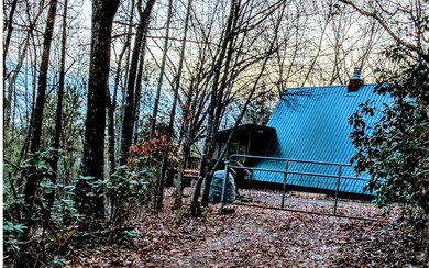 415 Mountain Rivers Ln, Mineral Bluff, GA 30559 - photo 2