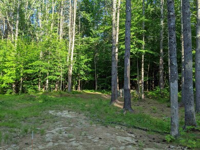 70 Newman Drew Rd, Ossipee, NH 03890 - photo 5