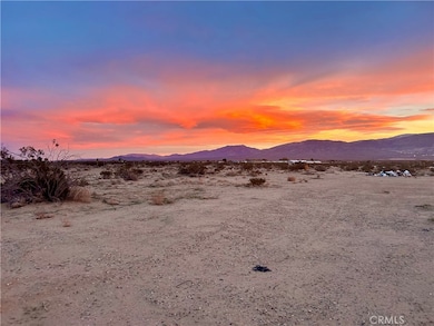 40 Rodeo Rd, Lucerne Valley, CA 92356 - photo 3