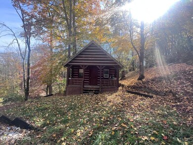 5616 E Port Dock Rd, Alpine, TN 38543 - photo 4