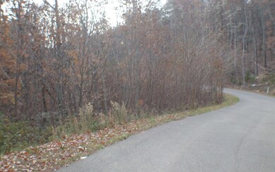 Additional View