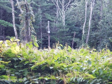 231 Silver Spring Blvd, Kunkletown, PA 18058 - photo 2