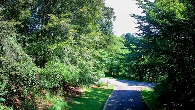 0 Old State Highway 28, Dunlap, TN 37327 - photo 5