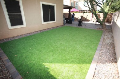 Back Yard 2