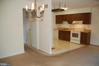 132 Thomas Dr, Telford, PA 18969 - photo 7