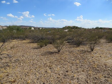 21320 W Vista Royale Dr unit 3, Wickenburg, AZ 85390 - photo 4
