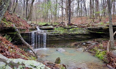 16514 Whitehouse Rd, Winslow, AR 72959 - photo 3