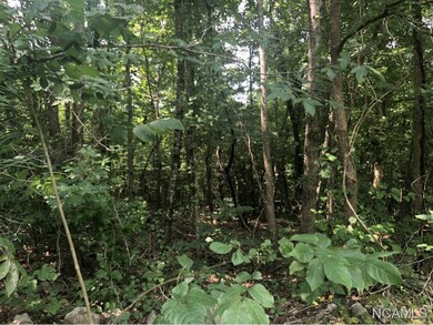 8346 Cedar Mountain Rd, Pinson, AL 35126 - photo 3