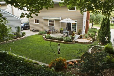 BACKYARD3