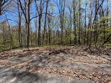 0 Stewkley Ln, Bella Vista, AR 72714 - photo 3