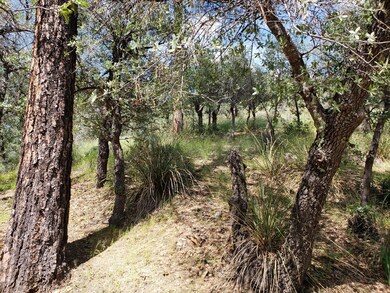 Gentle Sloping Homesite