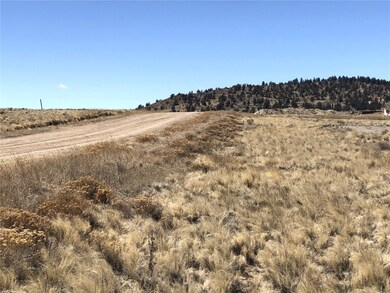 121 Commanche Trail, Hartsel, CO 80449 - photo 4