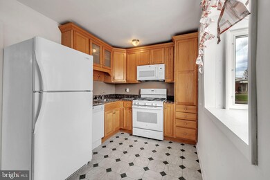 517 Palmer Rd, Conshohocken, PA 19428 - photo 5