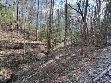 LT 3764R Eagle Mountain Dr, Ellijay, GA 30540 - photo 2