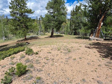 6524 Remington Rd, Como, CO 80456 - photo 6