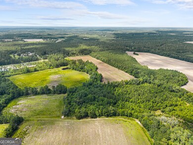 0 Fabled Ln unit LOT 4, Pembroke, GA 31321 - photo 5