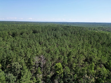 Nhn Gobbler Head Rd, Poplarville, MS 39470 - photo 2