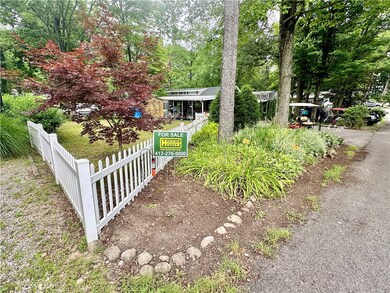 outside of fence area yard on property surrounding