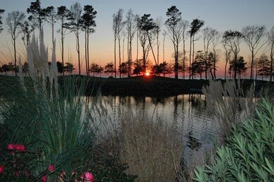 sunset at Bay Creek