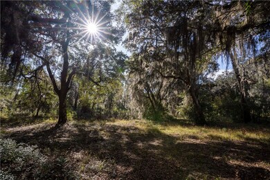 Over 2 acres of upland...no flood insurance!  Lots
