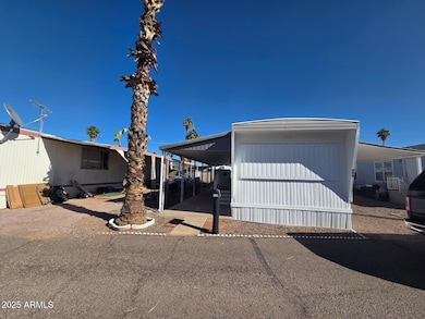 WhatsApp Image 2025-11-07 at 11.21.43_a9