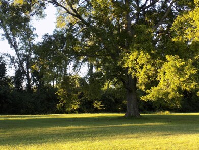 611 W Adams St, Lebanon, TN 37087 - photo 3