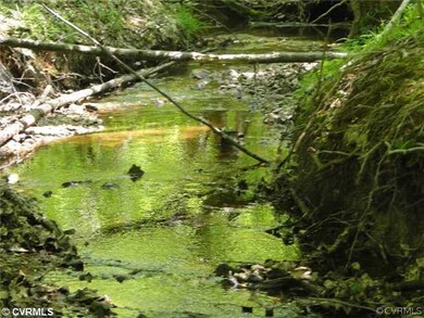 Exterior Front - creek runs through property.