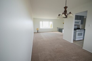 701 Fillmore Ave, Dyer, IN 46311 - photo 5