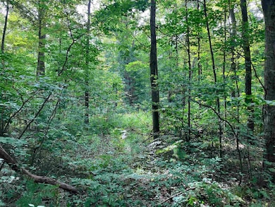 3642 Beech St, Beaverton, MI 48612 - photo 4