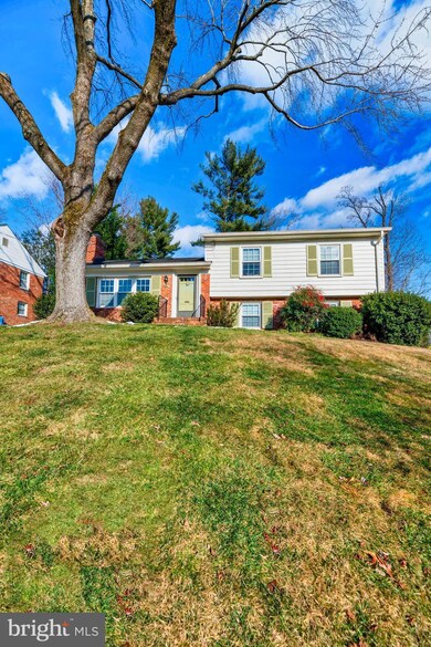 2431 Lexington Rd, Falls Church, VA 22043 - photo 2