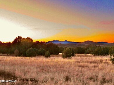 2653 Denny Dr, Ash Fork, AZ 86320 - photo 3