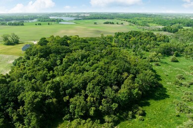 Wide variety of trees