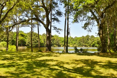 4420 Wando Farms Rd, Awendaw, SC 29429 - photo 7